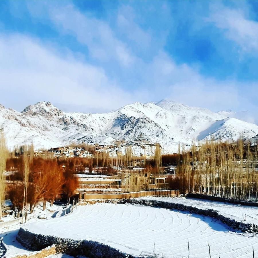 Ladakh Country Inn Leh Zewnętrze zdjęcie